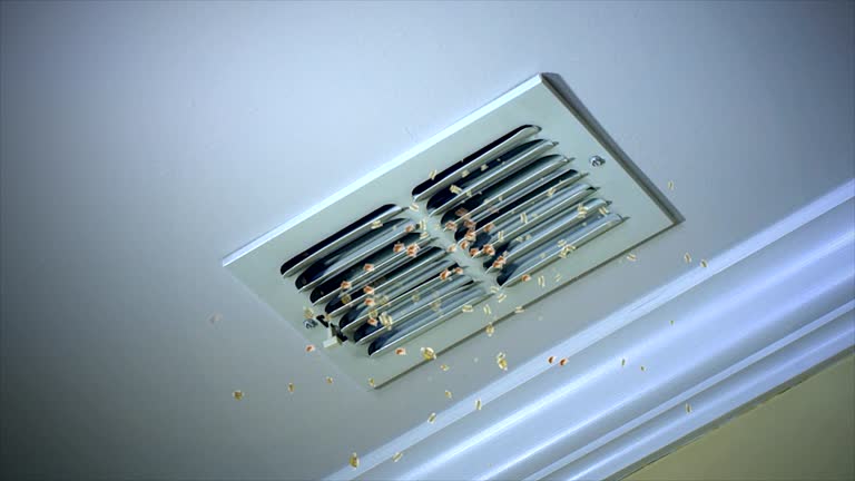 Best Air Vent Cleaning Services  in Cedar Springs, MI
