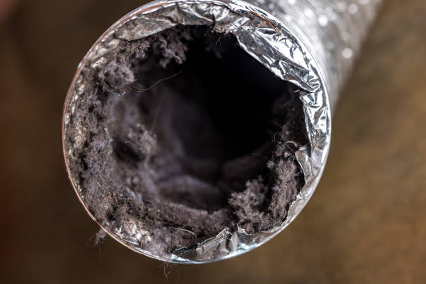 Best Best Air Duct Cleaning Near Me  in Cedar Springs, MI